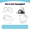 Image of Pet Glasses for Small Breed UV Dog Glasses Windproof Dog Sunglasses Puppy Eyewear