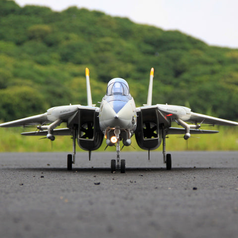 Freewing Dual 80mm rc airplane jet model F-14 Tomcat with Variable Sweep Wing KIT with servos